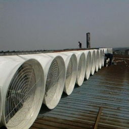 池州、安慶、儀征地區通風降溫與排煙換氣設備全攻略